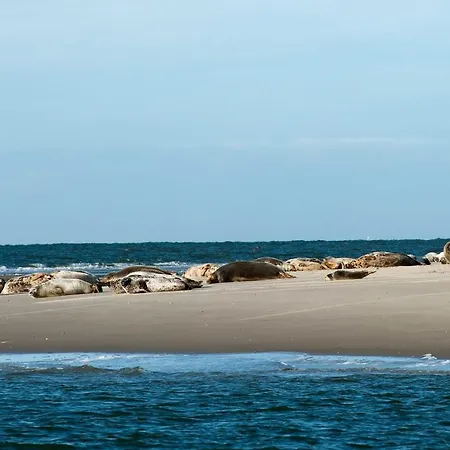 Insellandhotel Michaelsen * Borkum